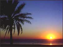 Strange sights on balmy Caribbean nights.