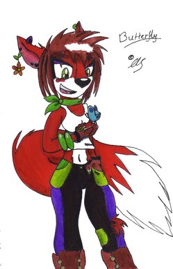Butterfly