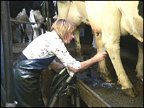 Julia milking