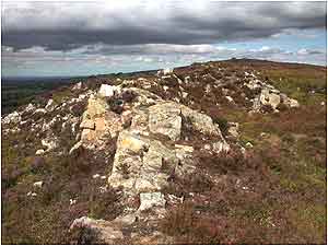 Stiperstones Stiperstones c/o Shropshire Wildlife Trust and Ben Osborne