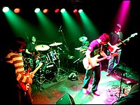 Autokat live