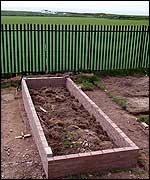 Raised bed