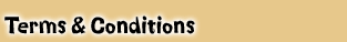 terms and conditions