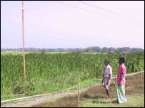 کسان