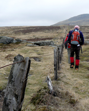 Fence along the summit of Mayar