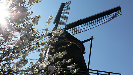 WIndmills at Zaanse Schans in Holland © BBC