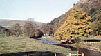 Dyffryn Ceiriog