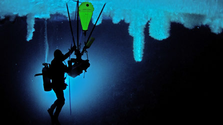A bespoke underwater tripod bolted to the ice ceiling captured amazing shots
