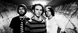 A Plastic Rose, photo by Graham Smith