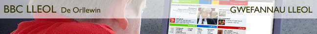 Gwefannau Lleol