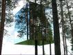  Foto: Cortesía Treehotel