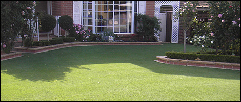 A tidy garden lawn.