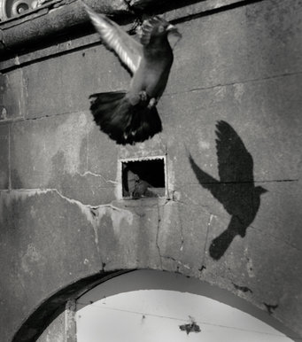 Breaking the boundries