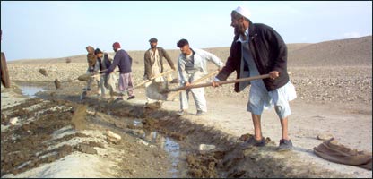 جوی پاکی و ماين