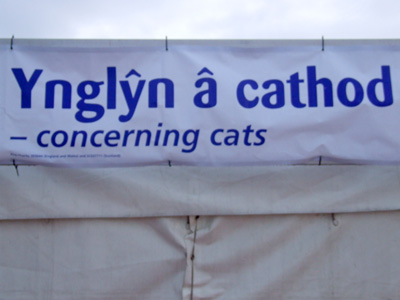 Ynglyn a cathod. Cofiwch dreiglo-ynglyn â chathod. Hefyd 'fy mhwsi,dy bwsi,
...ac yn y blaen.