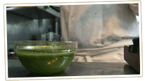 Pesto sauce