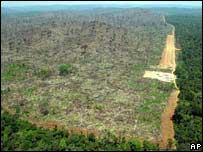 Desmatamento na Amazônia