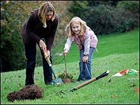 Planting saplings in Central Park