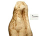 Pipe-clay figurine of Venus