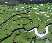 Aerial picture of Llanrhidian Marsh