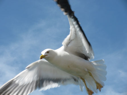 Nigel Leach's Photomarathon topic five photo: Up In The Air