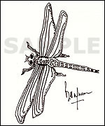 Bill Wyman's doodle