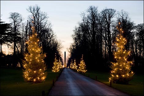 The drive at Castle Howard with Christmas trees