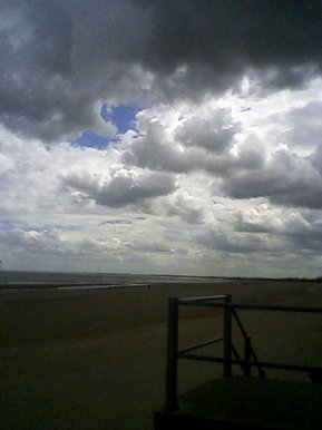 Looking over blue skies