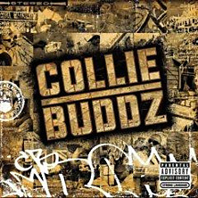 Review of Collie Buddz Review of Collie Buddz