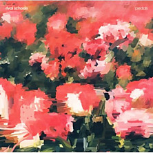 Review of Pedals Review of Pedals