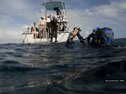 Philippe Cousteau prepares to dive
