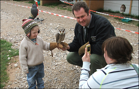 The owls love the attention and are happy to pose for pics