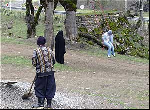 تاب