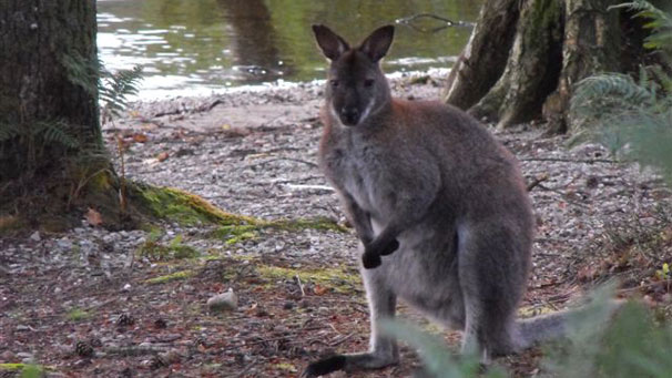 At first they were happy to just to watch.