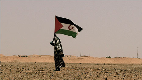 Bandera saharaui