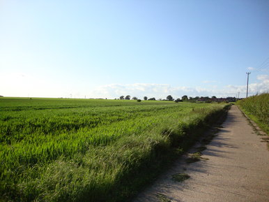 Sunshine over fields of green
