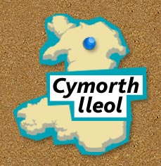 cymorth lleol