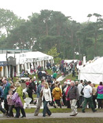 Maes yr Eisteddfod