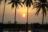 Amlinell y palmwydd o'r gwesty