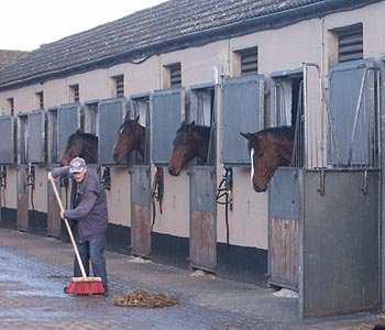 Racing yard stables