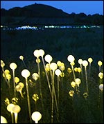 Field of Light