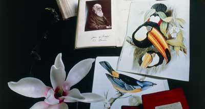 Composite of Darwin-related memorabilia