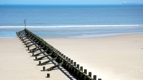 Wooden groyne