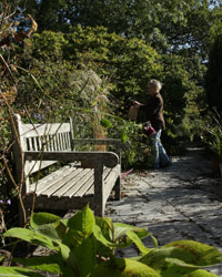 Carol Klein collects seed