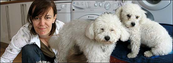 Pet Sitter