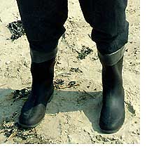 Image: A pair of wellies