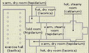 Plan of the Roman baths at Wroxeter
