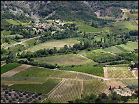 Near Sault, southern France