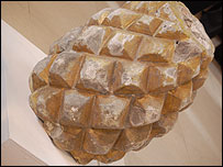 The pineapple from All Saints Church