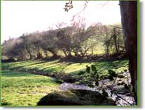 Places to walk around the village of Ilsington